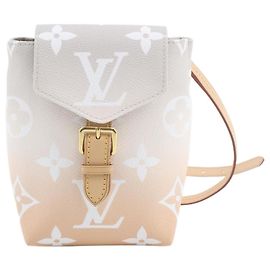 Louis Vuitton Pochette Felicie Monogram Gradient