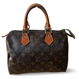 Louis Vuitton Speedy 25