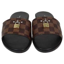 Louis Vuitton Damier Ebene Canvas Lock It Flat