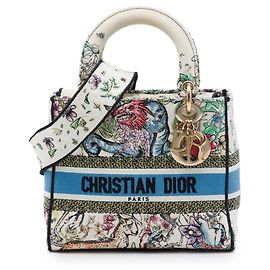 Dior White Medium Embroidered Canvas D Constellation Lady D Lite