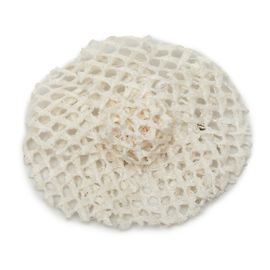 Broche Pin Camelia de malla blanca Chanel