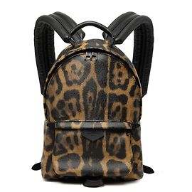 Louis Vuitton Leopard Palm Springs Rucksack PM