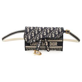 Dior Oblique Canvas Embroidered Saddle Slim Belt Pouch in Blau