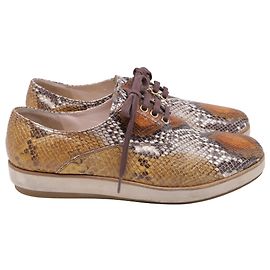 Miu Miu Schnür-Oxford-Schuhe aus multicolorem Leder in Schlangenleder-Optik