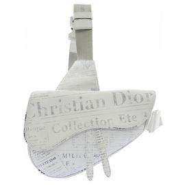 Borsa Christian Dior DIOR Saddle Daniel Arsham