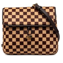 Louis Vuitton Brown Damier Sauvage Gazelle