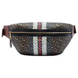 Borsa a cintura Sonny Burberry TB Monogram E Canvas Stripe Marrone