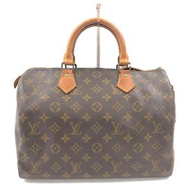 Louis Vuitton Speedy Monogram Multicolor 30