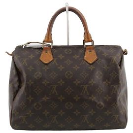 Louis Vuitton Speedy Monogram Canvas 30