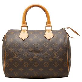 Louis Vuitton Monogram Speedy 25 Mini Boston Bag