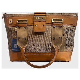Autre Marque Borsa Dior Street Chic Trotteur Tote