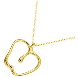 Autre Marque Tiffany & Co. Apple Large lange Halskette