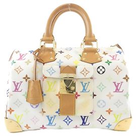 Louis Vuitton Multicolor Speedy Boston Bag