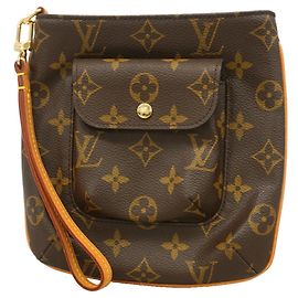 Louis Vuitton Monogram Partition Bag/Pouch