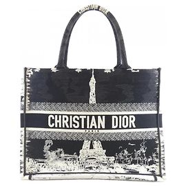 Borsa a mano Christian Dior Paris Book Tote Medium