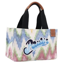 Loewe Paula's Ibiza Embellished Printed Canvas Medium