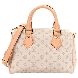 Louis Vuitton Speedy Bandoulière 20