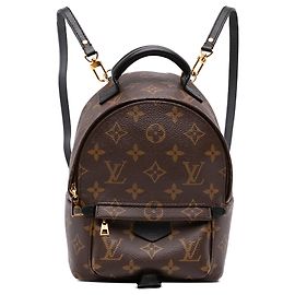 Louis Vuitton Brown Monogram Mini Palm Springs