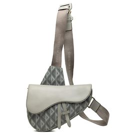 Bolso Saddle de piel gris Christian Dior