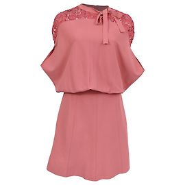 Valentino Garavani Valentino Lace-Trimmed Mini Dress in Pink Viscose