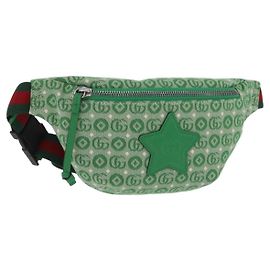GUCCI Kinder Gürteltasche Web Sherry Line aus Canvas Grün 502095 Auth ka6422V