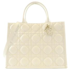  mala Christian Dior Book Tote Medium