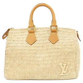 Bolso Boston Louis Vuitton Speedy Bandoulière
