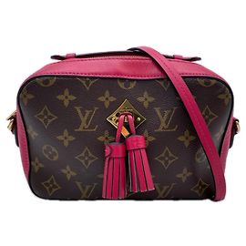 Louis Vuitton Monogram Saint-Onge Freesia Shoulder Bag