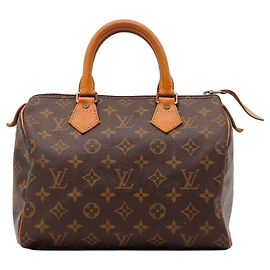 Louis Vuitton Speedy 25 Monogram Canvas