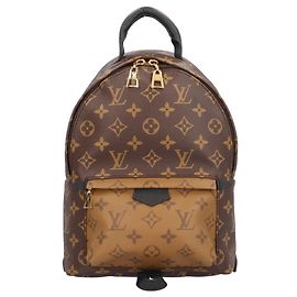 Louis Vuitton Palm Springs PM Rucksack