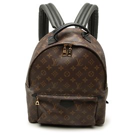 Louis Vuitton Brown Monogram Palm Springs MM
