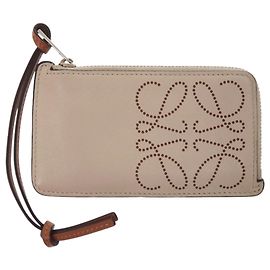 Loewe Anagram Fragment Case