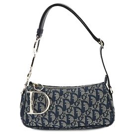 Borsa Christian Dior Trotter
