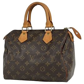 Borsa Louis Vuitton Speedy 25