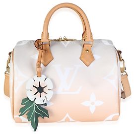 Louis Vuitton Brume Monogram Giant By The Pool Canvas Speedy Bandouliere 25
