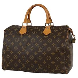 Borsa Louis Vuitton Speedy 30