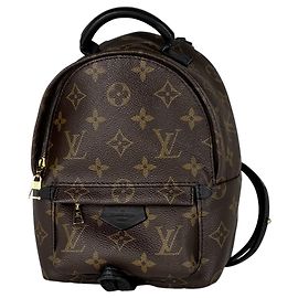 Louis Vuitton Palm Springs Backpack MINI