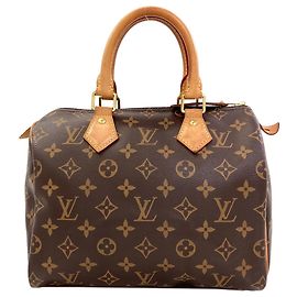 Louis Vuitton M41109 Speedy 25 Handbag