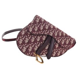Christian Dior Trotter Canvas Saddle Waist bag Red Gold