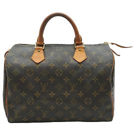 Louis Vuitton Speedy Monogram Canvas 30
