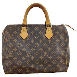 Louis Vuitton Speedy Monogram Canvas 30