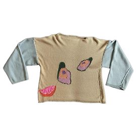 Autre Marque Pull en maille beige / kaki et bleu avec motif fruits et huitres