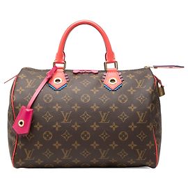 Louis Vuitton Brown Monogram Totem Speedy 30