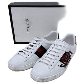Sneakers Snake Gucci in pelle bianca