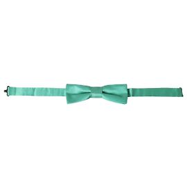 Dolce & Gabbana Papillon da uomo in seta verde menta con collo regolabile