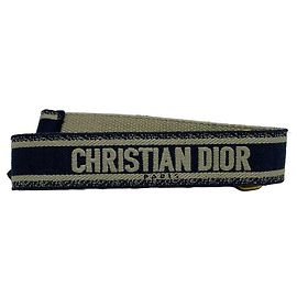 Dior Bestickter Gürtel für Damen aus Stoff mit goldener Schnalle