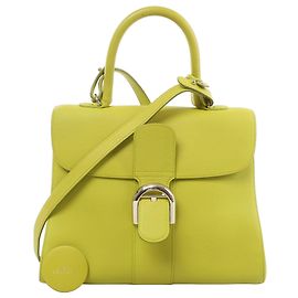 Delvaux Brillant MM Leder 2Way Handtasche in Green