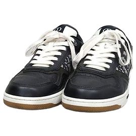 Dior B27 Oblique Sneaker Grün Leder