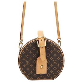 Louis Vuitton Borsa a Tracolla Petite Boucle Monogram