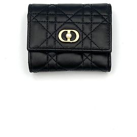 Dior Glycine Kartenetui Unbenutzt